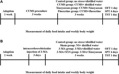 Xiaoyaosan Exerts Antidepressant-Like Effect by Regulating Autophagy Involves the Expression of GLUT4 in the Mice Hypothalamic Neurons